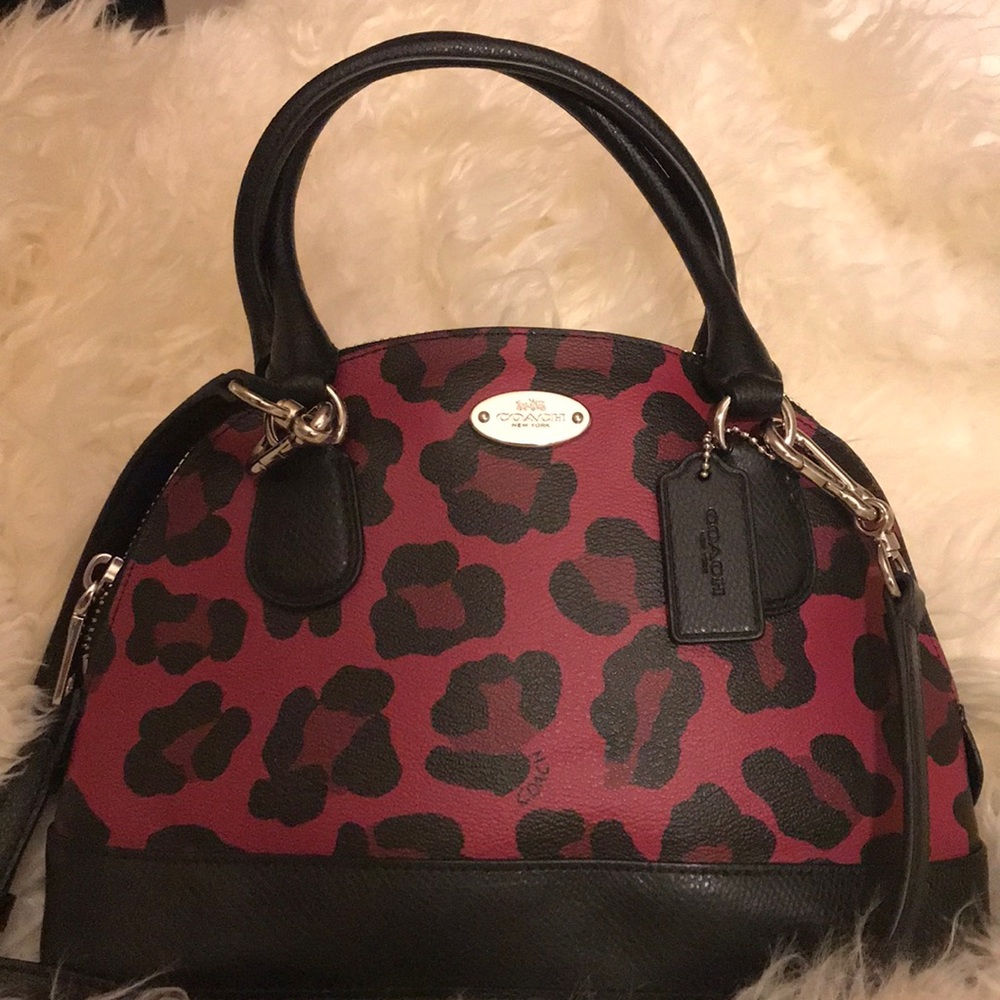 Coach Crossbody Bag